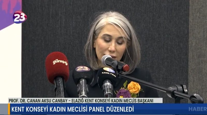 KADIN MECLİSİMİZİN DÜZENLEDİĞİ PANEL VİDEO HABERİ